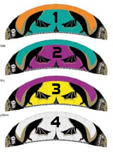 bestkiteboarding kahoona V4 2012