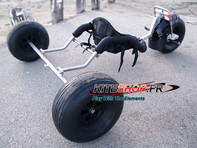 buggy elliot virus