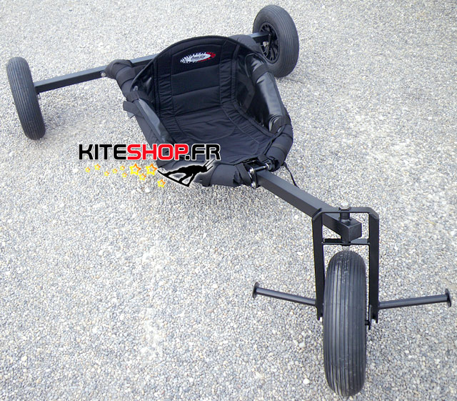 buggy libre zebra