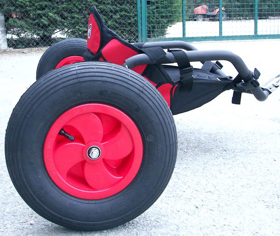 buggy radsails