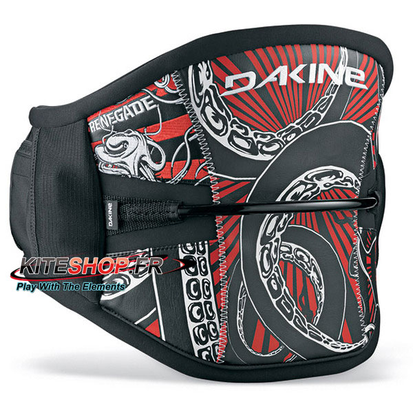 dakine renegade 2010