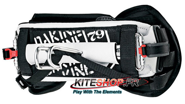 dakine renegade 2010