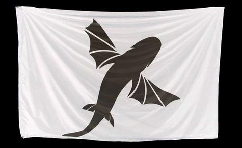 drapeau kitesurf best