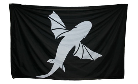 drapeau kitesurf best