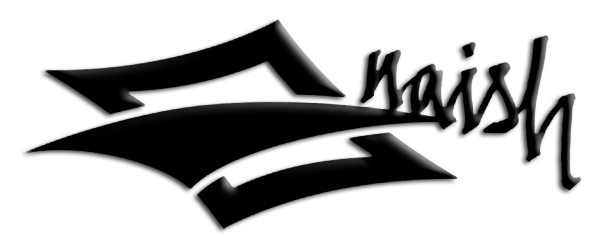 logo naish 2012