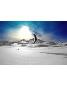 FLYSURFER SPEED 4 10M DELUXE COMPLETE