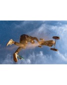 FLYSURFER SOUL