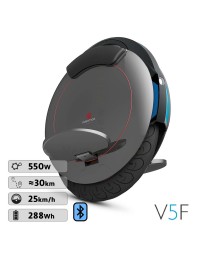 INMOTION V5F