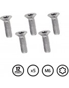 VIS M6 12MM FOIL KITE WING INOX TORX