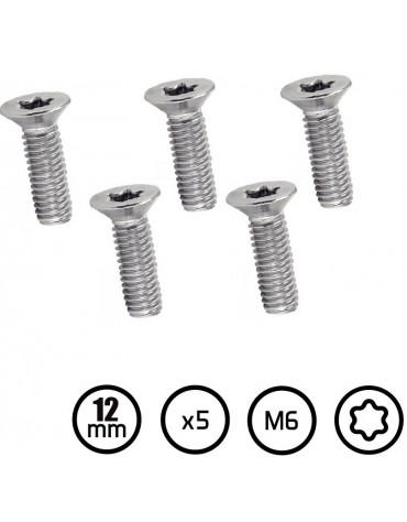 VIS M6 12MM FOIL KITE WING INOX TORX
