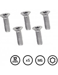 VIS M6 12MM FOIL KITE WING INOX TORX