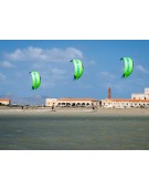 CRAZYFLY SCULP 2025