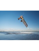 CRAZYFLY ROOTZ 2026 CRAZYFLY ROOTZ 2026