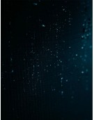 PROLIMIT MERCURY STEAMER FREEZIP 6/4 FTM TR 2026 PROLIMIT MERCURY STEAMER FREEZIP 6/4 FTM TR 2026