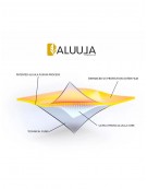 RDD GOLDWING RACE Y31 2026