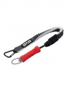 PETER LYNN LEASH (COURT)