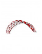 PETER LYNN PLKB IBEX