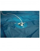 PETER LYNN PLKB IBEX