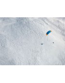 PETER LYNN PLKB IBEX