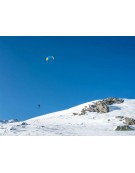 PETER LYNN PLKB IBEX