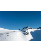 PETER LYNN PLKB IBEX