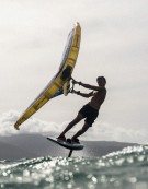 NAISH ADC NVISION 2026