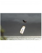 NAISH PIVOT NVISION 2026