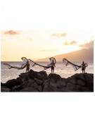 NAISH PIVOT NVISION 2026