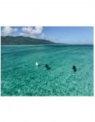 OZONE FUSION V2 ULTRA-X