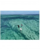 OZONE FUSION V2 ULTRA-X