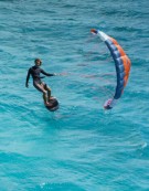 APPLETREE SKIPPER MIDLENGTH