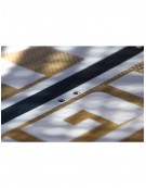 ELEVEIGHT IGNITION V6 2026