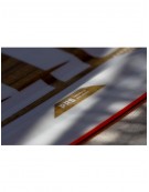 ELEVEIGHT IGNITION V6 2026