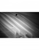 ELEVEIGHT WFS V7 2026