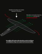 F-ONE MONOBLOC TAIL DW