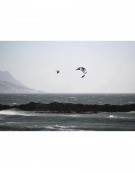 NAISH PSYCHO [Q] SERIES 2026