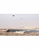 SLINGSHOT CODE NXT V2 2026