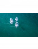 FLYSURFER AVID 2026