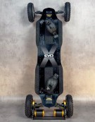 EVO SKATE NEXUS PRO - VERSION SPORT
