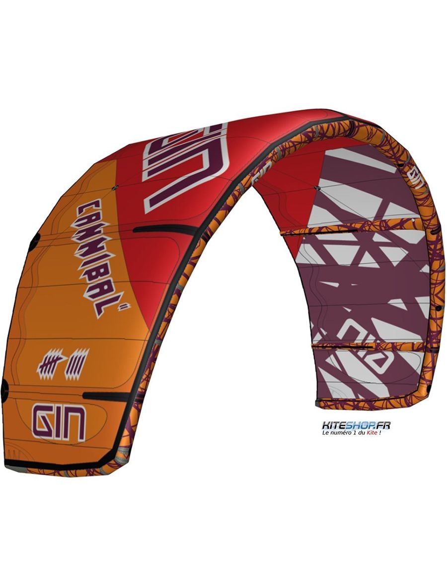 AILE DE KITESURF GIN CANNIBAL 2 2018