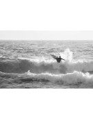 ELEVEIGHT CURL_2018