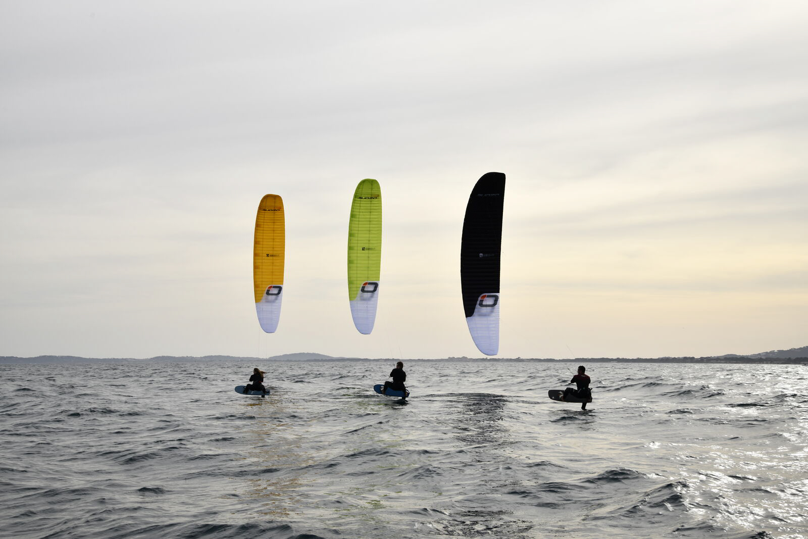 Aile de race Ozone R1 v5