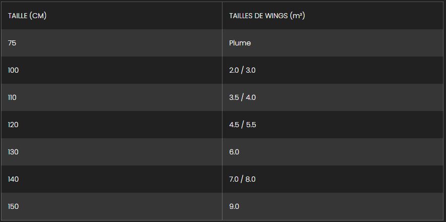 Leash de poignet f-one Wingfoil et K wing