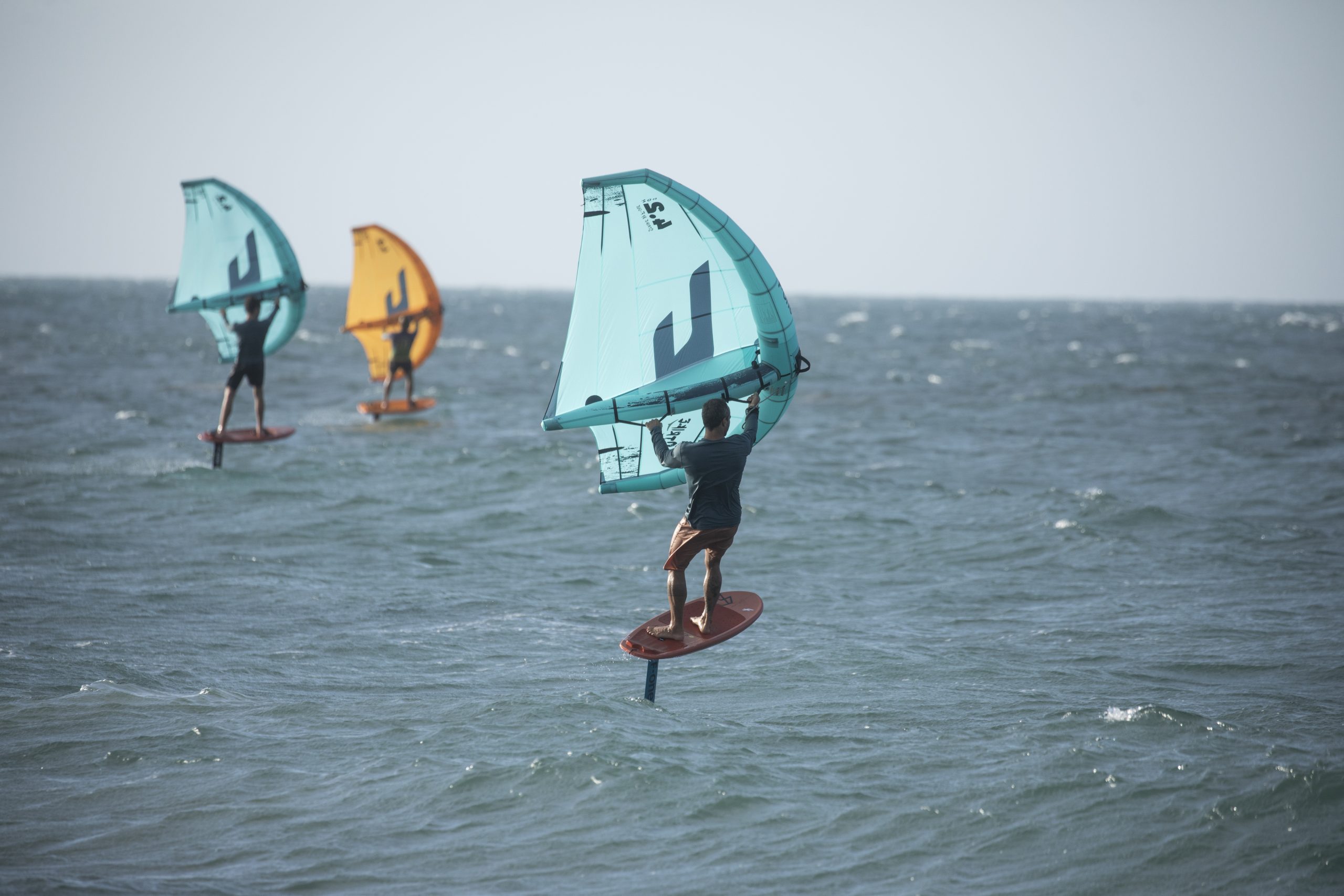 histoire du wing foil